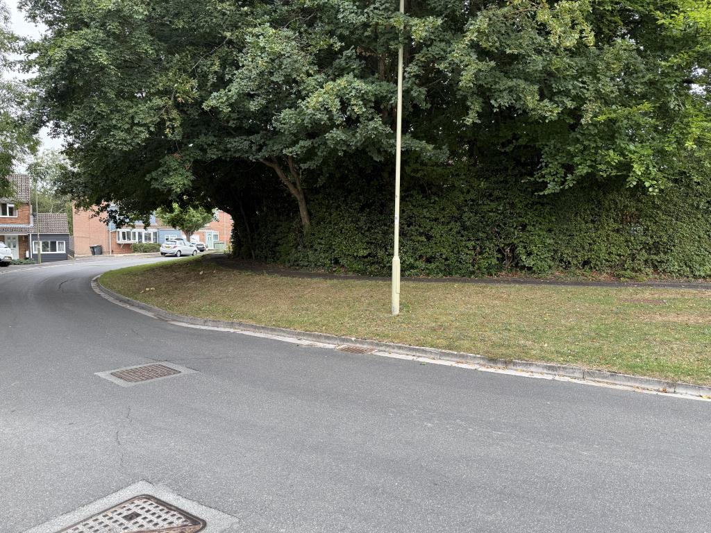 Lot: 36 - FREEHOLD PARCELS OF LAND, ACCESSWAYS AND PARKING AREAS - Grass verge with roadway and footpath